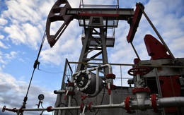 Lý do giá dầu Urals của Nga vẫn tăng bất chấp lệnh trừng phạt và nhu cầu giảm