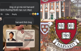 Hội con nhà người ta flex 'Harvard cũng bình thường mà nhỉ', sự thật thế nào?