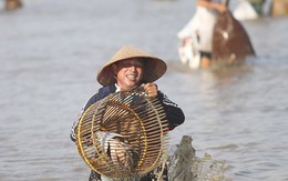 Hơn 100 người mua vé xuống hồ ‘săn cá’ giữa ngày hè nóng bức