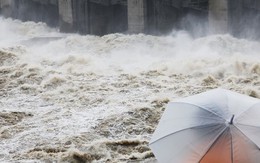 Mưa lớn ở Hàn Quốc: Gần 50 người chết và mất tích, tìm thấy thêm thi thể dưới đường hầm ngập nước