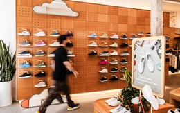 Sự sụp đổ của 1 startup bán giày tỷ USD: 'Nổ' những đôi giày làm từ... len đủ sức đọ với Nike, Adidas rồi rơi vào hỗn loạn, giá cổ phiếu chỉ còn 1,28 USD