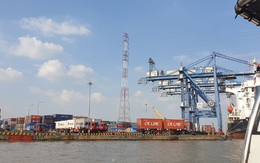 TP HCM đã thu hơn 2.863 tỉ đồng phí hạ tầng cảng biển