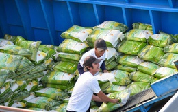 Giá gạo Việt xuất khẩu tiếp tục neo cao