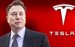 Người đàn ông chỉ cách 'chơi chứng' sinh lời 14.800% sau 10 năm: 'All in' vào cổ phiếu Tesla, đặt niềm tin bất diệt vào Elon Musk