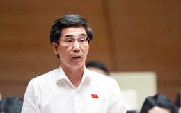 Miễn nhiệm bà Ngô Thị Kim Yến, bầu ông Trần Chí Cường làm Phó Chủ tịch UBND TP Đà Nẵng