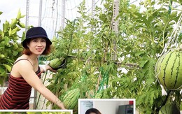 Mẹ đơn thân sở hữu khu vườn sân thượng trĩu quả ngay giữa Sài Gòn