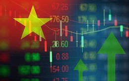 Chứng khoán Việt Nam 6 tháng đầu năm 2023: VN-Index tăng hơn 11%, một cổ phiếu "lạ" bốc đầu tăng gần 73 lần