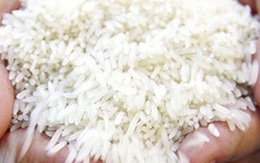 Gạo Việt Nam có mặt ở nhiều thị trường khó tính