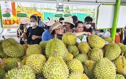 Sầu riêng đứt lứa, xuất khẩu rau quả rời đỉnh