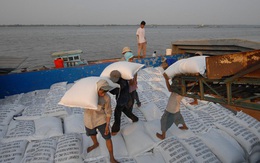 Ấn Độ cấm xuất khẩu gạo, Bộ Công Thương có chỉ đạo hoả tốc