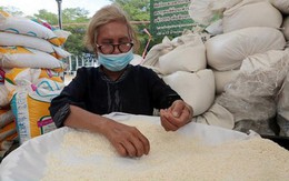 Thái Lan lo giá gạo tăng sau khi Ấn Độ hạn chế xuất khẩu