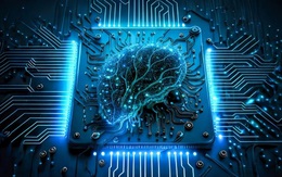Chính phủ Úc tài trợ cho dự án nghiên cứu hợp nhất tế bào não người với AI