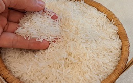 Giá gạo tăng vọt sau lệnh cấm xuất khẩu của Ấn Độ