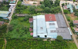 Nguy cơ bị thu hồi đất dự án Trung Nguyên Legend, công ty của ông Đặng Lê Nguyên Vũ xin được chuyển nhượng đất, bán tài sản cho nhà đầu tư khác