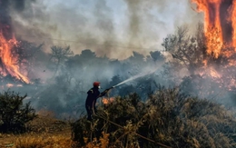 Cháy lớn tại Hy Lạp: Du khách tháo chạy, cảnh tượng chưa từng có