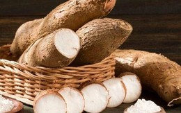 Doanh nghiệp sản xuất tinh bột sắn lớn nhất Việt Nam báo lãi sụt giảm mạnh 36% sau nửa đầu năm