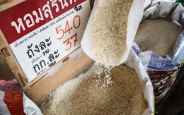 Ấn Độ cấm xuất khẩu gạo: Gạo Việt Nam tăng giá, một nước láng giềng lo lắng