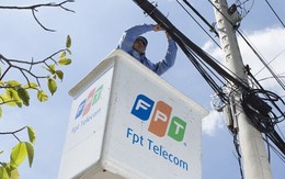 FPT Telecom (FOX) lãi kỷ lục quý 2, tiền gửi ngân hàng hơn một vạn tỷ