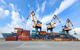 Lợi nhuận “bốc hơi” 72% so với đỉnh, doanh nghiệp có đội tàu container lớn nhất Việt Nam trở lại mặt đất sau “sóng thần” ngành vận tải biển