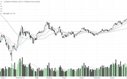 Cổ phiếu thủy sản tăng mạnh, VN-Index tăng 5,32 điểm