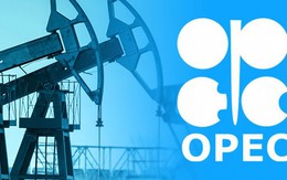 OPEC+ đang ở tình thế nguy hiểm