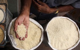 Thị trường gạo tiếp tục 'nóng rẫy': Nga và UAE đồng loạt tuyên bố cấm xuất khẩu gạo tạm thời - gạo Việt Nam thêm cơ hội tăng giá?