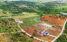 Hai địa phương tại Lâm Đồng cho phép chuyển mục đích sử dụng đất trở lại