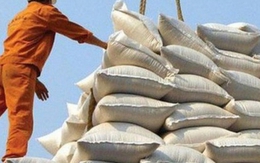 Xuất khẩu gạo tăng mạnh: Lợi gần nhưng vẫn phải lo xa