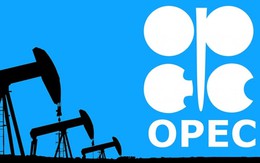 Tương lai bất định của OPEC