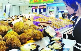 Thời cơ của sầu riêng Việt Nam đã đến: Doanh nghiệp Trung Quốc 'tranh cướp' mua trái cây Đông Nam Á