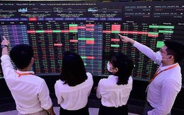 Triển vọng kết quả kinh doanh nhiều doanh nghiệp có thể tăng trưởng đột biến từ quý 3 và trong cả nửa cuối năm 2023