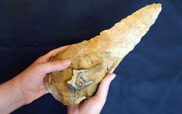 Đào được kho báu sốc 300.000 năm do loài người khác chôn giấu