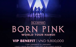 Vừa mở bán, lượng người xếp hàng mua vé concert BlackPink vượt quá 100.000 người, gấp nhiều lần số lượng vé của BTC