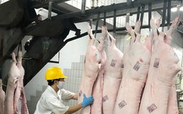 Giá lợn hơi tăng mạnh, sắp cán mốc 70.000 đồng/kg