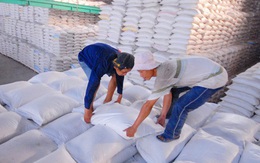 Giá gạo Việt tăng kỷ lục trong 2 năm