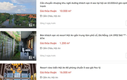 Tiết lộ bất ngờ đằng sau những thương vụ bán tháo khách sạn, resort tại Đà Nẵng, Hội An: “Nhà đầu tư chủ yếu đến từ Hà Nội”