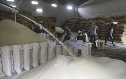 Thị trường nông sản thế giới: Giá gạo Ấn Độ cao nhất trong 5 năm