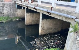 Sông Nha Trang bị rác thải bủa vây, bốc mùi nghiêm trọng