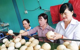 Mỹ chính thức nhập khẩu dừa Việt Nam