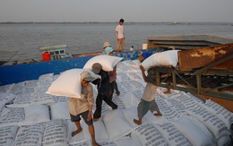 Bộ trưởng Lê Minh Hoan: Xuất khẩu 7-8 triệu tấn gạo trong năm 2023