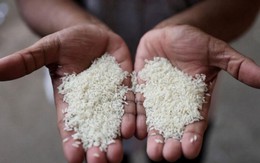 Ấn Độ cấm xuất khẩu gạo, Việt Nam, Thái Lan trước áp lực tăng xuất khẩu - ký ức 'hiệu ứng domino' 15 năm trước ùa về khiến thế giới đứng ngồi không yên