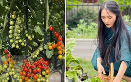 Khu vườn trĩu quả, rau củ xanh mướt mắt của cô gái sống ở Canada có 18 nghìn người hâm mộ
