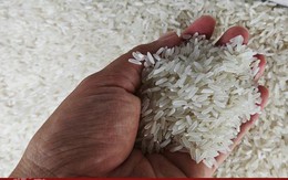 Giá gạo Thái Lan, Việt Nam tiếp tục tăng mạnh