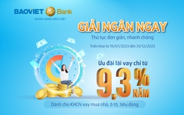 Vay vốn với lãi suất thấp tại BAOVIET Bank