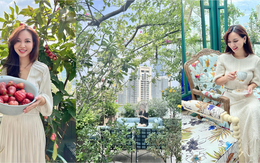CEO sống trong penthouse 600m2 "mát tay" làm vườn: Trồng cây sai trĩu quả, chăm hoa đua nở rực rỡ