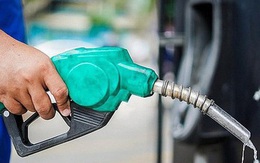 Bộ Tài chính: Tỷ trọng thuế trong giá xăng, dầu bán ở Việt Nam ở mức thấp