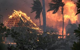 Cháy rừng nghiêm trọng ở Hawaii: Hệ thống cảnh báo lớn nhất thế giới không hoạt động