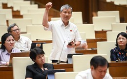 Đại biểu Nguyễn Anh Trí: Rất đau lòng khi Việt Nam phải chi tỉ USD nhập khẩu muối
