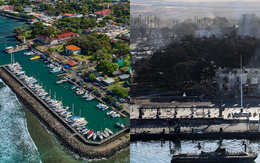 'Thiên đường' Maui trước và sau khi xảy ra thảm họa cháy rừng