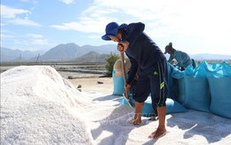 Vì sao Việt Nam phải nhập khẩu muối?